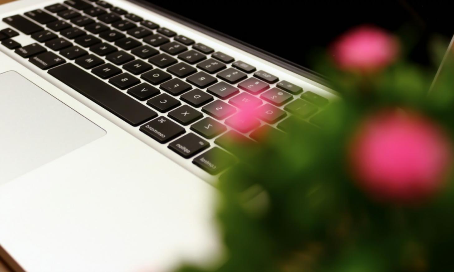 Network management training session showing students working with networking equipment